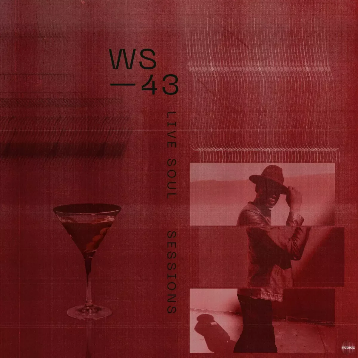 Wavetick Sounds Live Soul Sessions (WAV)