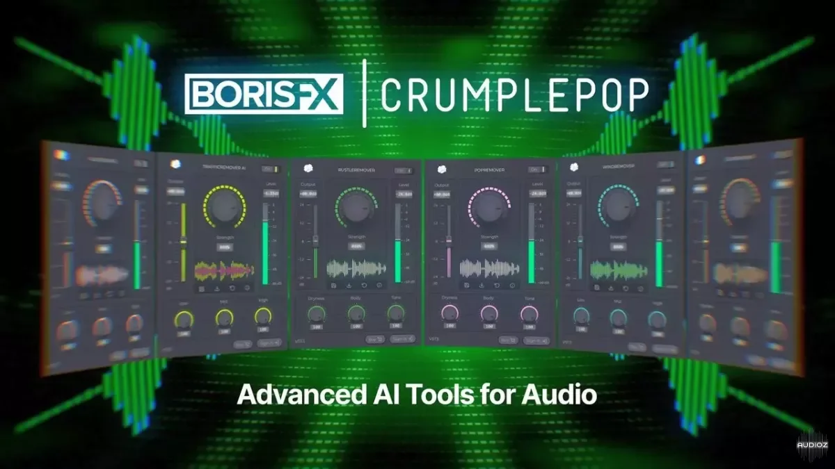 BorisFX CrumplePop Pro 2025.0.17 - V.R