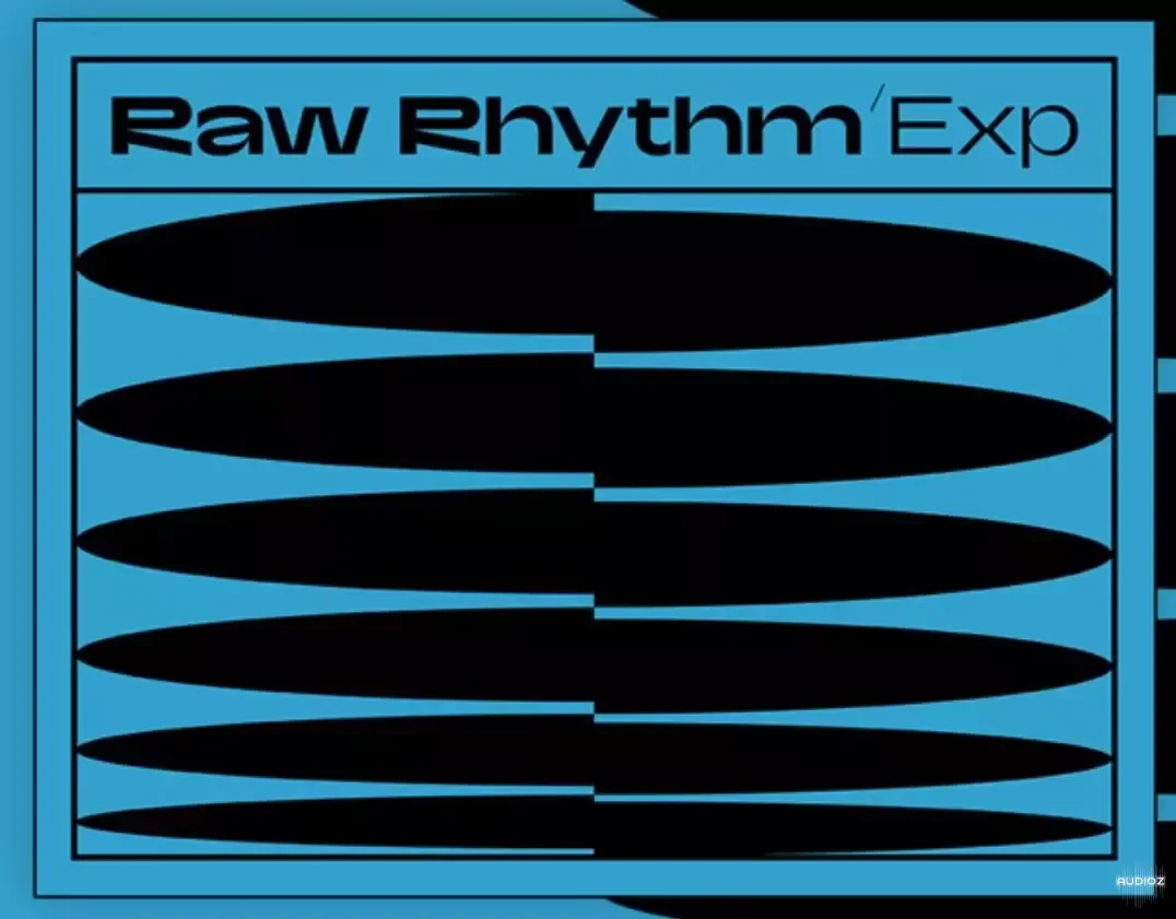Native Instruments Rhythm Maschine Expansion-bobdule