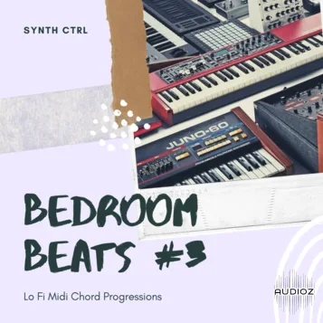 Synth Ctrl Bedroom Beats #3 (SERUM Presets) [FREE]