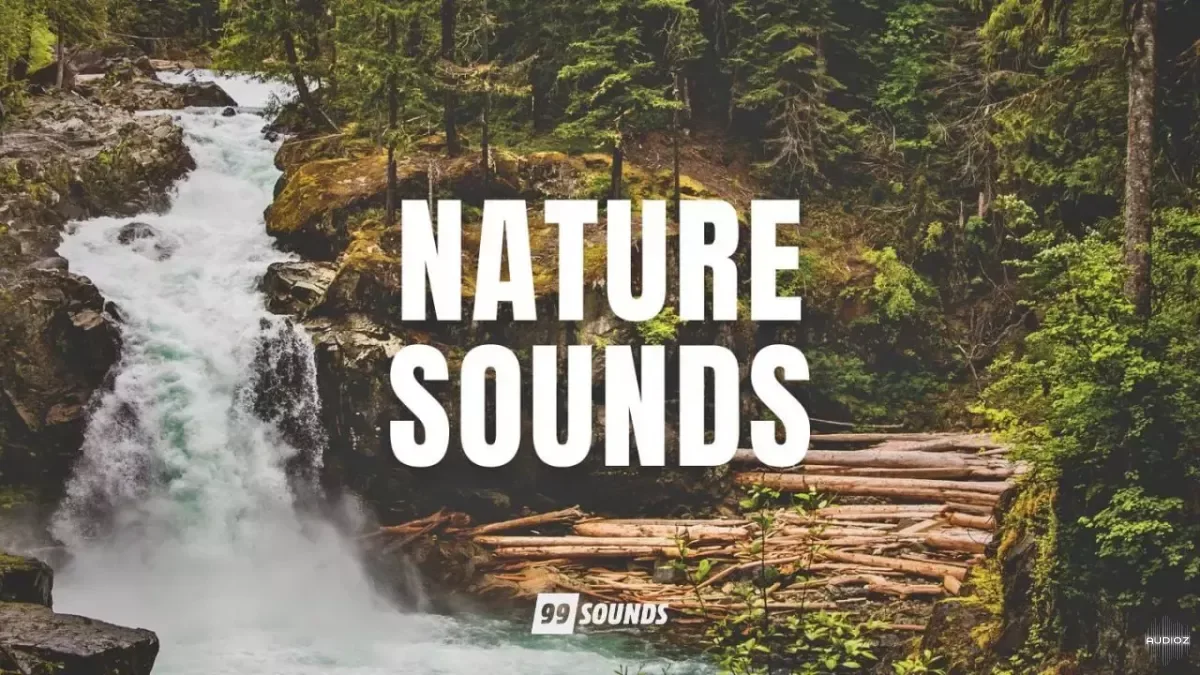99Sounds Nature Sounds WAV [FREE]