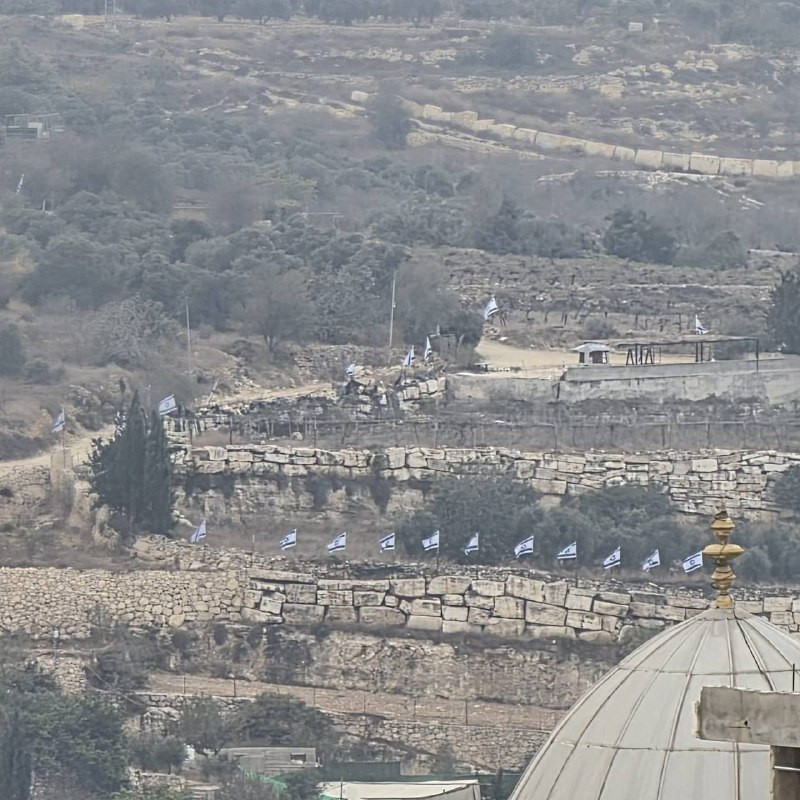 صورة الخبر