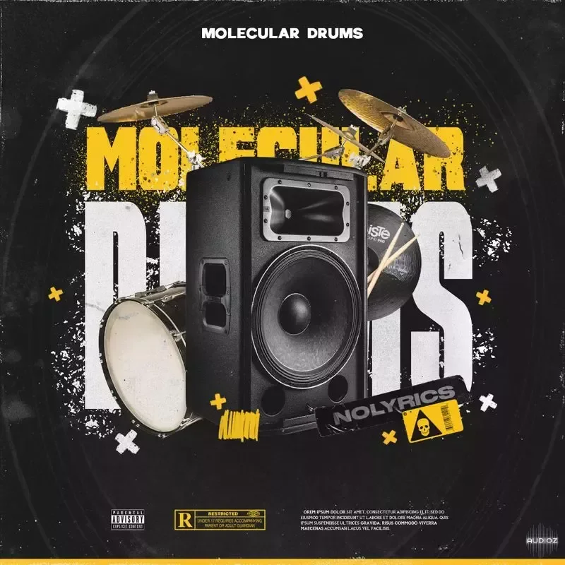 nolyrics MOLECULAR DRUMS WAV-DECiBEL