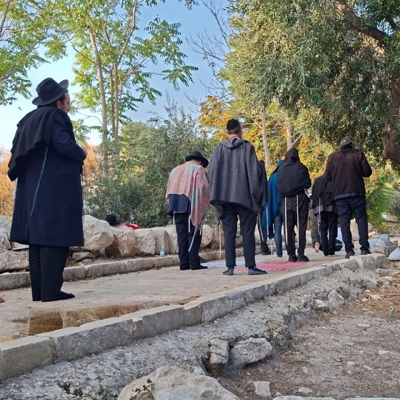 صورة الخبر
