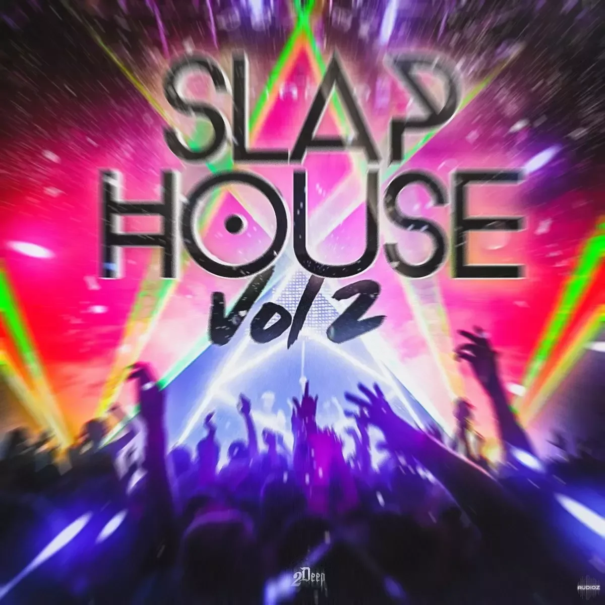 2Deep Beats Slap House Vol 2 WAV MiDi-FANTASTiC