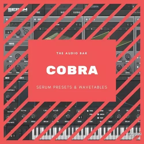 The Audio Bar Cobra WAV XFER RECORDS SERUM-FANTASTiC