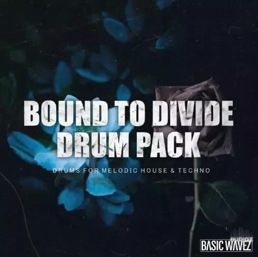 Baisc Wavez Bound to Divide Drum Pack - Drums For Melodic House & Techno