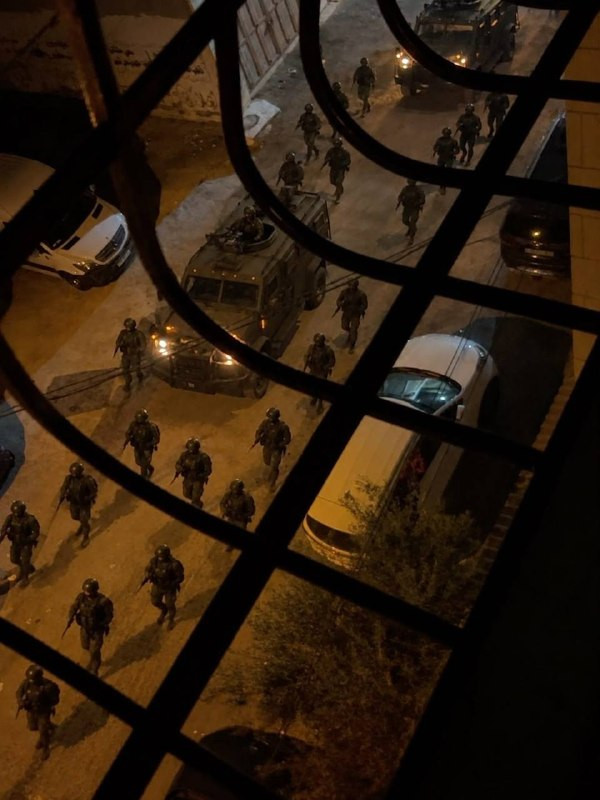 صورة الخبر