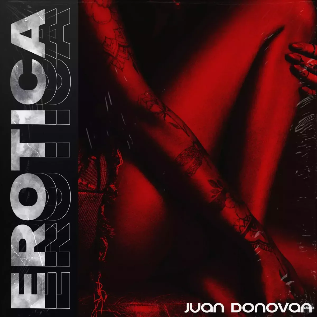 Juan Donovan Erotica WAV MiDi Analog Lab Bank-FANTASTiC