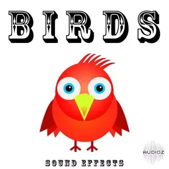 Text Sound Effects Birds Sound Effects MP3