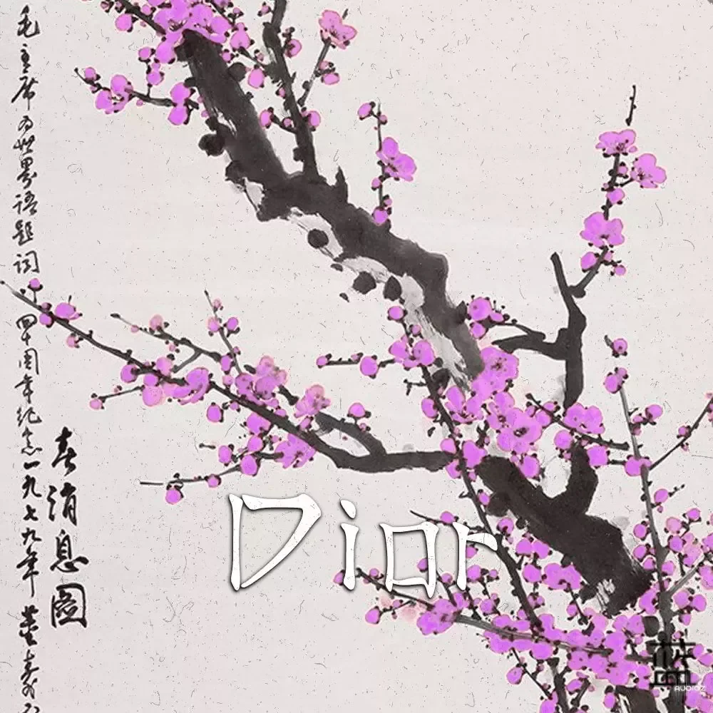 Aquila Beats Dior WAV MiDi-FANTASTiC