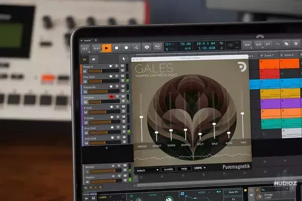 Puremagnetik Gales v1.0.1 WiN macOS RETAiL-ohsie