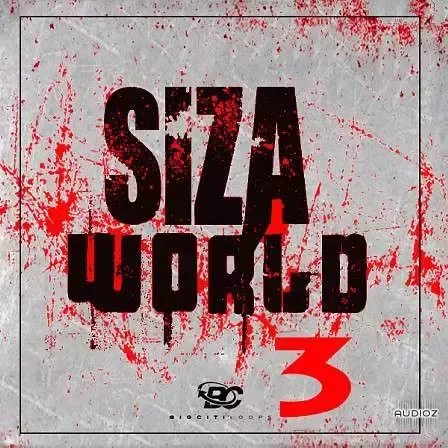 Big Citi Loops Siza World 3 WAV MiDi-FANTASTiC