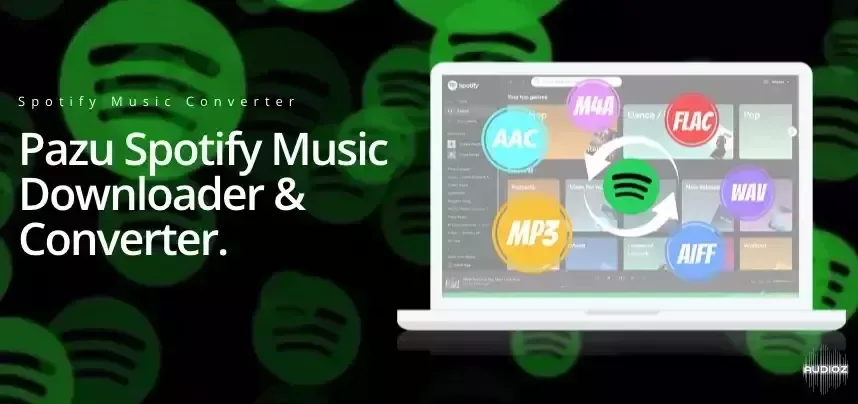 Pazu Spotify Music Converter v4.9.8 (x64) Multilingual