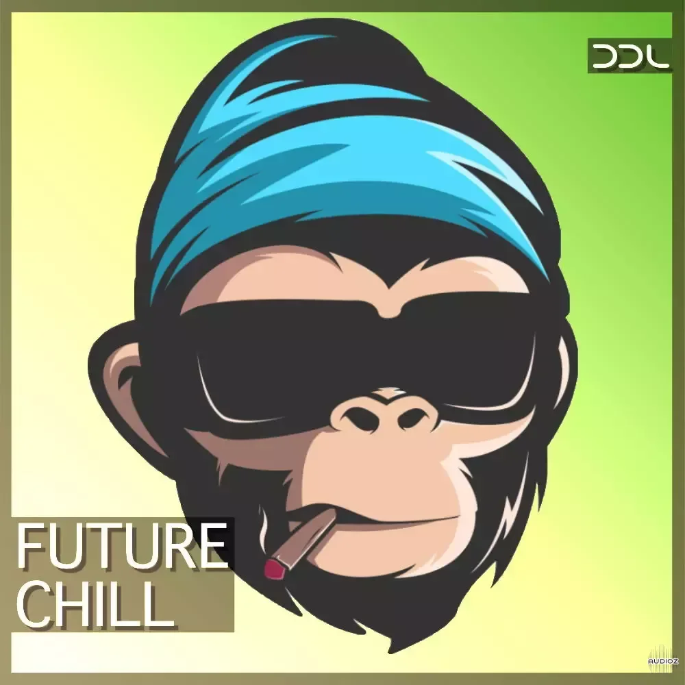 Deep Data Loops Future Chill WAV MiDi-FANTASTiC