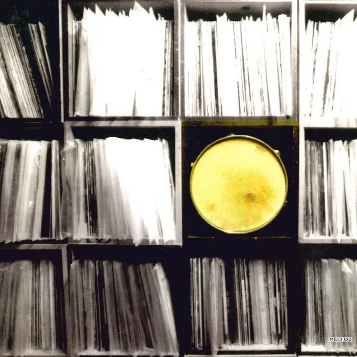Paul Nice Drum Library Vol.1-5 (Vinyl Rip) WAV