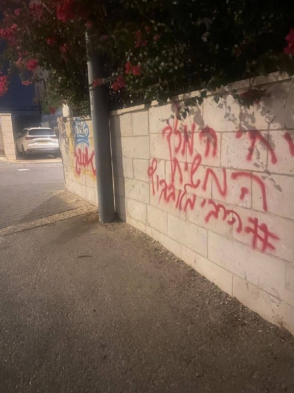 صورة الخبر