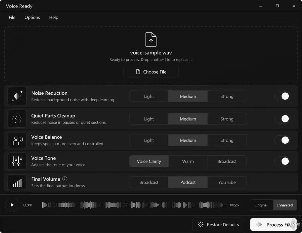 Voice Ready v1.0.2 WIN