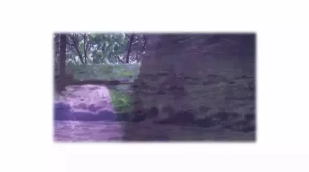 Thotsxo Japan and Thots Archives (Kit + ElectraX Bank) WAV ElectraX Bank-FANTASTiC
