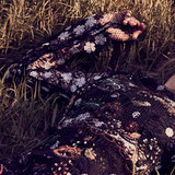 niamh app banner