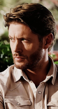 owen 19.1