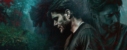 owen wolf banner.1