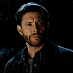 owen 4.3