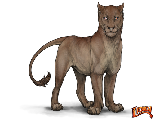 lioden wardrobe (1).png