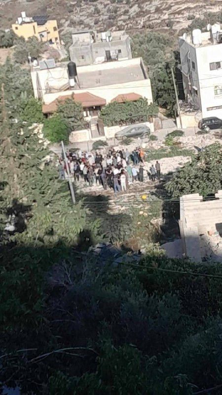 صورة الخبر