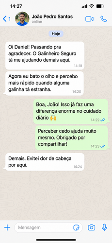 ps galinha 02.2