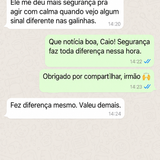 ps galinha 05