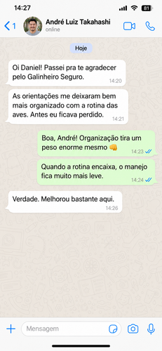 ps galinha 04.2