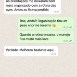 ps galinha 04