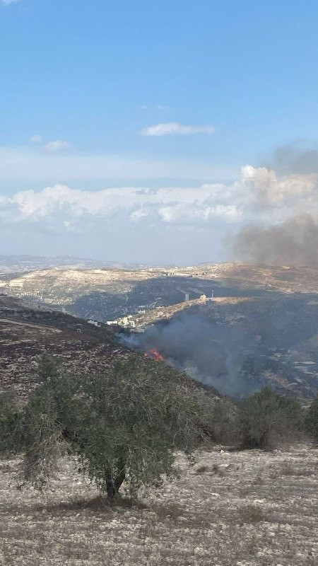 صورة الخبر