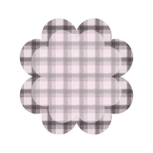 IMG 7033.2