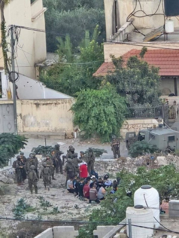 صورة الخبر
