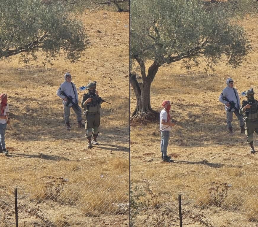 مستوطنون مسلحون بحماية جنود الاحتلال يقتحمون برفقة مواشيهم محيط منازل الأهالي في سهل المغير شمال شرق رام الله....