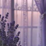 ln 8