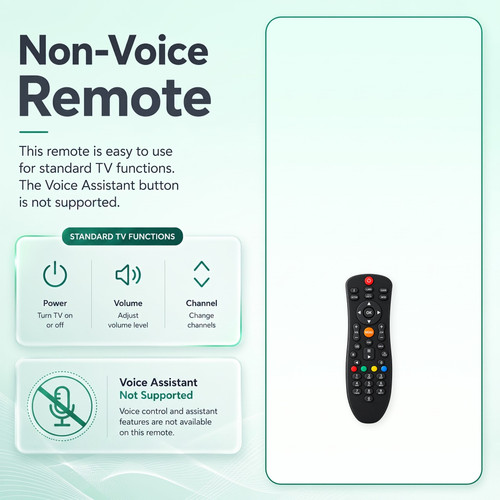04 Non Voice Infographic 2000x2000.1