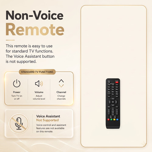 04 Non Voice Infographic 2000x2000.1
