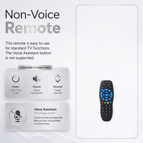 04 Non Voice Infographic 2000x2000.1