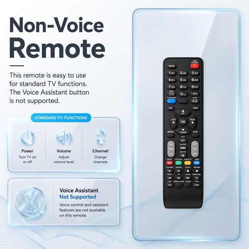 04 Non Voice Infographic 2000x2000.1
