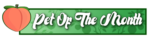 peaches group potm.png