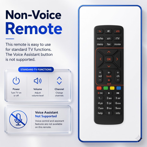 04 Non Voice Infographic 2000x2000.1