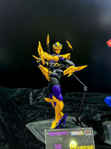 09 Furai Model Blackarachnia.jpg
