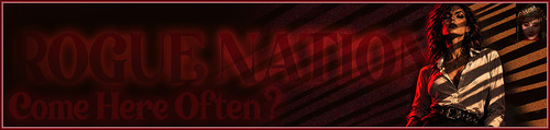 LadyShad Banner.jpg