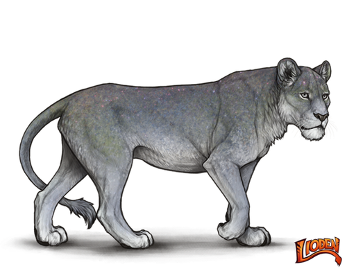 lioden wardrobe (5).png
