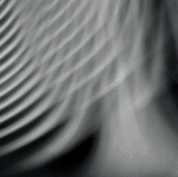 videoplayback (1).gif