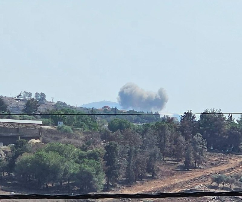 صورة الخبر