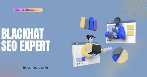 Black Hat SEO Agency (22).jpg.jpg